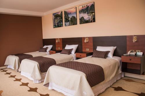 Säng eller sängar i ett rum på Hotel Pairumani