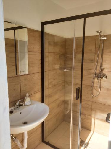 a bathroom with a shower and a sink at GLAMPING HIŠKe PETRIN in Tolmin
