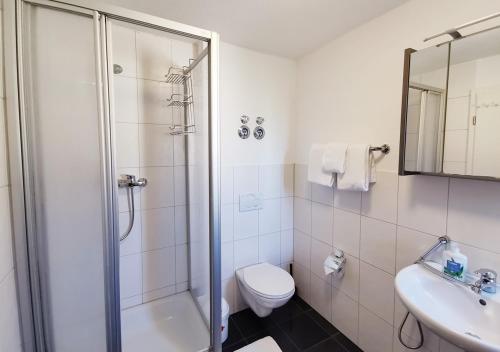 a bathroom with a shower and a toilet and a sink at duplex apartment - city centre - airconditioned - netflix - 2 balconies in Heidelberg