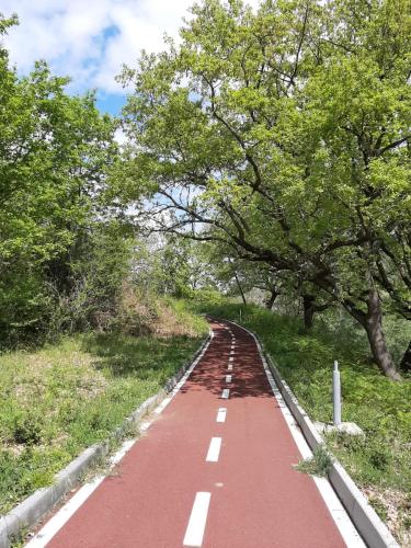 a red road with trees on the side of it at Casa Cenzina in Cosenza