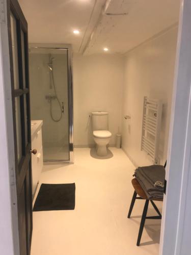 uma casa de banho com um WC e uma cabina de duche ao nível do chão em La petite Noe em Vertou