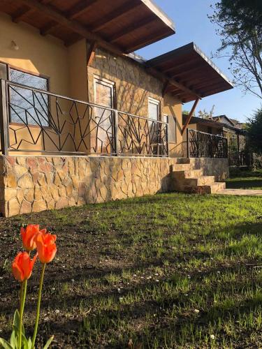 a house with a balcony and orange flowers in the yard at Karali Apartments in Lagadin