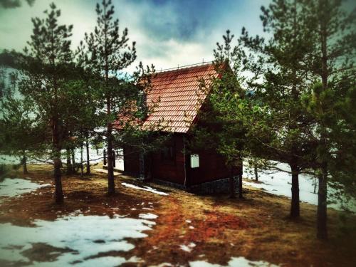 Previja Zlatibor Chalet pozimi
