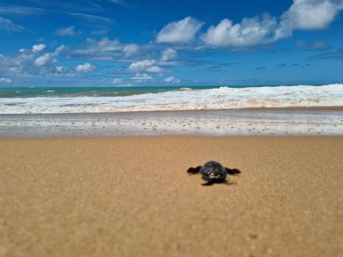 Příroda nedaleko prázdninového domu