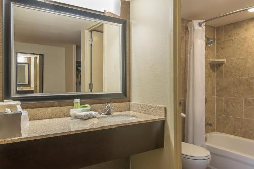 a bathroom with a sink and a mirror and a toilet at Holiday Inn Express Philadelphia-Midtown, an IHG Hotel in Philadelphia