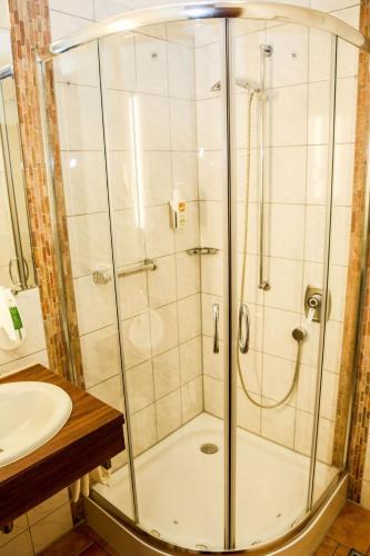 a shower with a glass door next to a sink at Akzent Hotel Restaurant Hirsch in Heidenheim