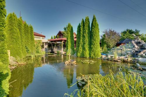 a garden with a pond with trees and a house at Hotel David with Free Parking in Košice