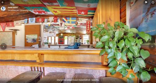 a bar in a restaurant with a potted plant at Le Chamoniard Volant in Chamonix-Mont-Blanc