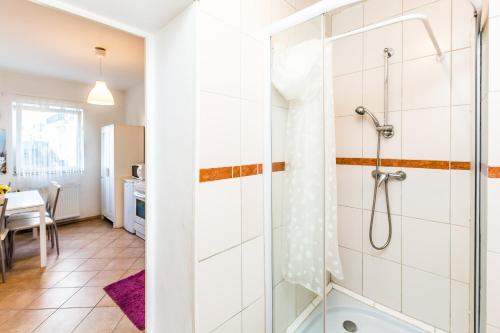 a shower with a glass door in a bathroom at Workers Apartment Troisdorf Spich in Spich