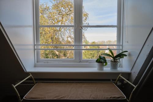 a window with two potted plants sitting on a window sill at Het Gecroonde Swaert B&B in Middelburg