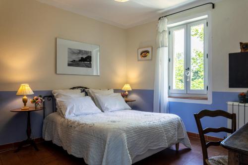 a bedroom with a bed with blue walls and a window at Gîtes Domaine des Machottes in Grans