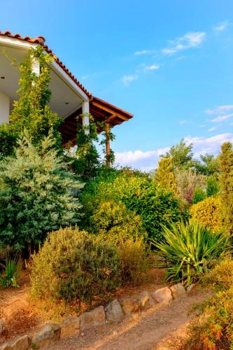 Vineyard Country House with Panoramic Seaview