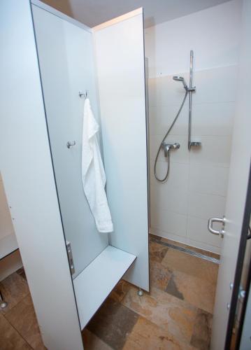 a bathroom with a shower with a glass door at Bergbauernhof Kinderparadies Oberhasenberghof in Taxenbach