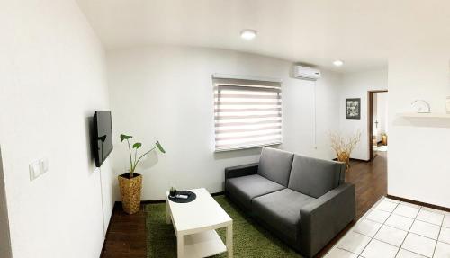 TV a/nebo společenská místnost v ubytování Modern Apartment 2