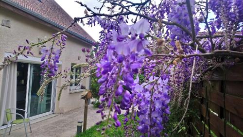 a tree covered in purple flowers in front of a house at Gîtelabaronnaise avec piscine chauffée prés parc Asterix in Baron