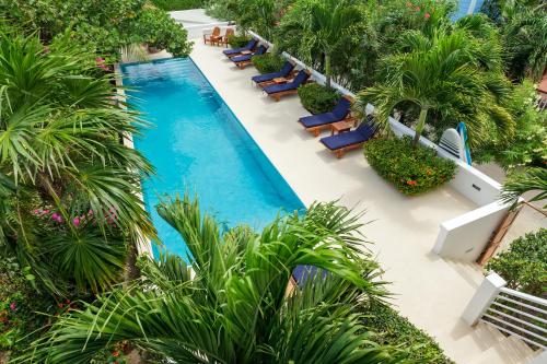 - une vue sur la piscine bordée de chaises longues et de palmiers dans l'établissement Weezie's Ocean Front Hotel and Garden Cottages, à Caye Caulker
