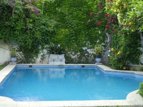 a large blue swimming pool in a yard with plants at Palacio del Virrey Laserna in Jerez de la Frontera