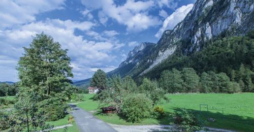a road in a field next to a mountain at Hotel B&B "Zur Schanz" in Ebbs