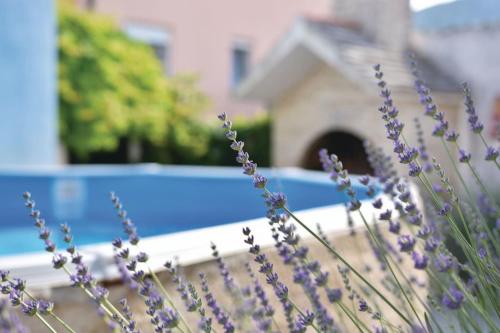 Country House Mar Il – Photos 3