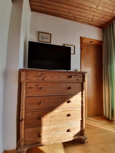 a television on top of a wooden dresser at Landgasthof Waldesruh in Gallspach