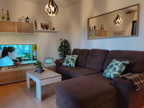 sala de estar con sofá y TV de pantalla plana en A los Ojos del Río Duero, en Zamora