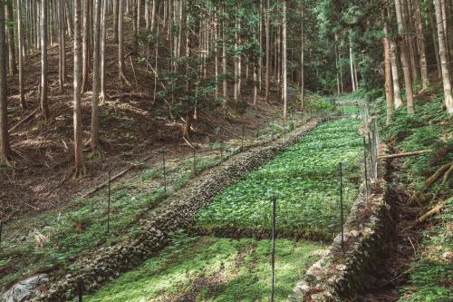 a fence in the middle of a forest at NIPPONIA Kosuge Village in Kosuge