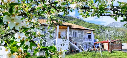 a stone house with mountains in the background at VILA DISHA in Tirana