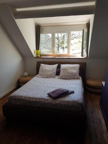 - une chambre avec un lit avec deux oreillers et une fenêtre dans l'établissement 18 châteaux et Beauval sur un rayon de 30 km, à Saint-Georges-sur-Cher