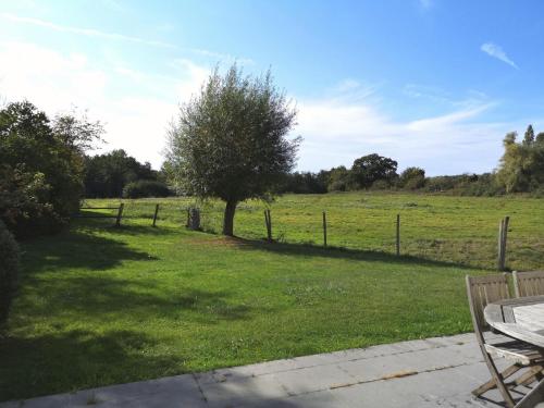 a tree in the middle of a field with a fence at La ferme aux grenouilles in Saint-Josse