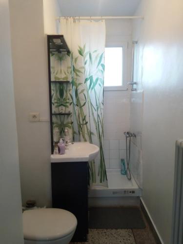 une salle de bain avec toilettes, lavabo et douche dans l'établissement Charmant F2 avec vue, proche centre, à Clermont-Ferrand