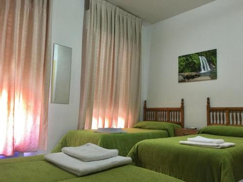トレドにあるホスタル サンタ バーバラのベッド2台(緑のシーツ付)が備わる客室です。