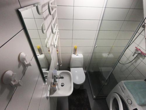 a bathroom with a toilet and a sink and a mirror at Jūros perlas in Palanga