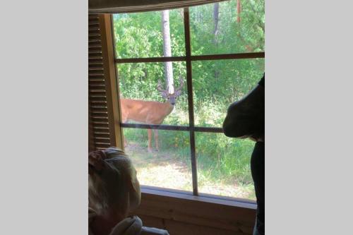 a child looking out a window at a deer outside at Villa Kumpare in Lohja