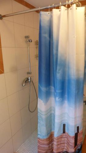 a shower with a shower curtain in a bathroom at Bernstein Appartements in Dranske