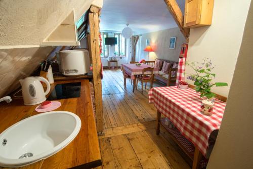 a kitchen and living room with a sink and a table at Willa Anna in Szklarska Poręba