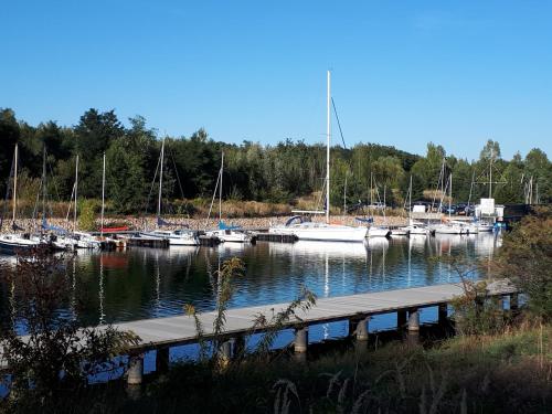 a dock with boats docked in a marina at Ferienwohnung Am Berzdorfer See, Görlitz, Klein Neundorf, Seestraße in Görlitz