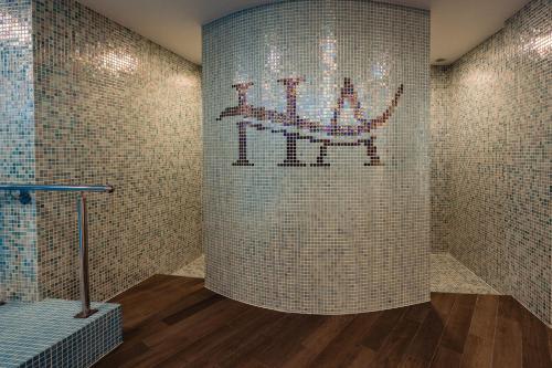 a bathroom with a tile wall with a cat mosaic at Hotel Aventus in Baile Felix