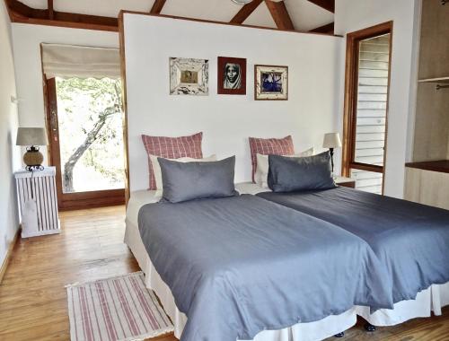 ein Schlafzimmer mit einem blauen Bett und einem Fenster in der Unterkunft Imani Bush House & Silver Sky Chalet in Hluhluwe