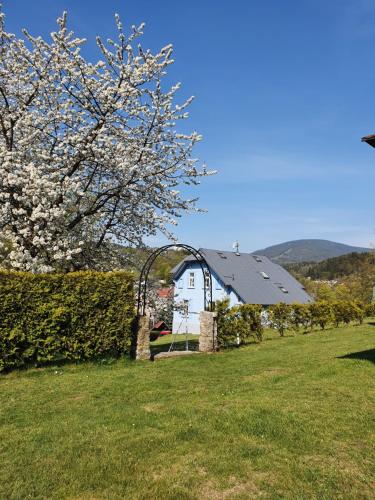 a white house in a field with a flowering tree at BLUE PENSiON in Svoboda nad Úpou
