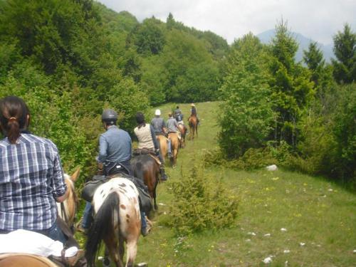 a group of people riding horses down a trail at Agriturismo Campagnoletto in Cavriana