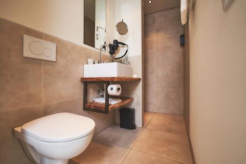 a bathroom with a toilet and a sink at Dorpsherberg De Roskam in Nunspeet