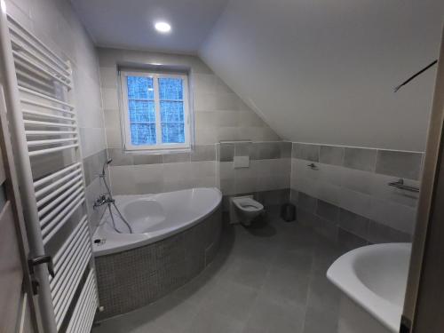 a bathroom with a tub and a toilet and a sink at Penzion Mezihoří in Mezihoří