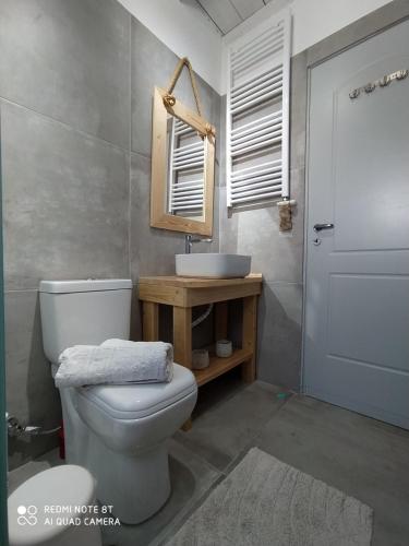 ein Badezimmer mit einem WC, einem Waschbecken und einem Spiegel in der Unterkunft Paradis beach home in Molos Parou