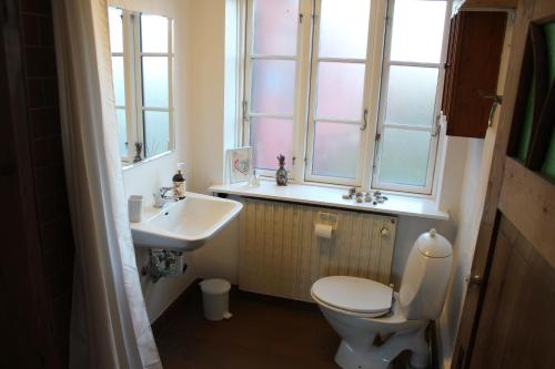 a bathroom with a toilet and a sink and a window at Købmandsgården i Grundfør in Hinnerup