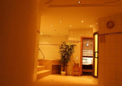 a bathroom with a potted plant in a room at Hotel Gasthof Riederhof in Gerlos