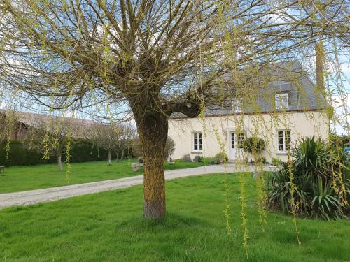 a tree in front of a white house at au Petit Paradis in Sainte-Gauburge-Sainte-Colombe