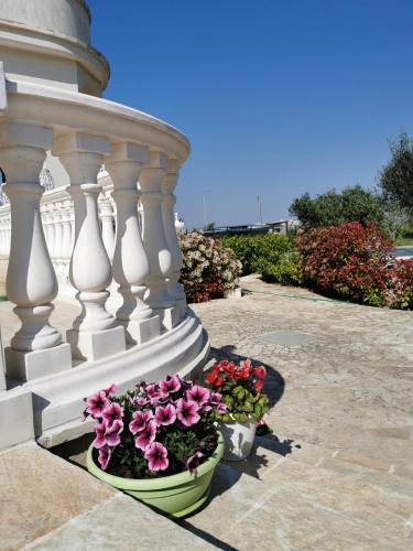 a flower pot on a porch with flowers in it at Trullo Suite in Cisternino