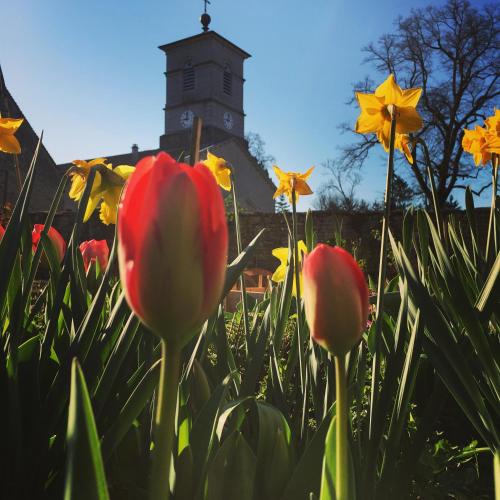 a field of flowers with a clock tower in the background at Chambres d Hôtes Les Filles Tresy in Passenans