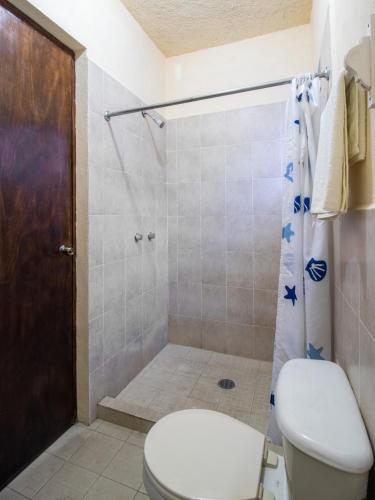 a bathroom with a toilet and a shower at Hacienda Del Angel in Parras de la Fuente