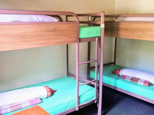 two bunk beds in a dorm room with a ladder at Le Chamoniard Volant in Chamonix-Mont-Blanc